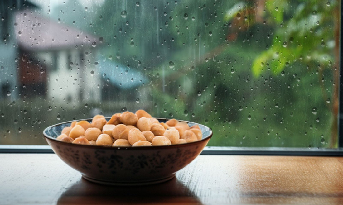 秋の長雨、体調管理にマカダミアが効くその訳は